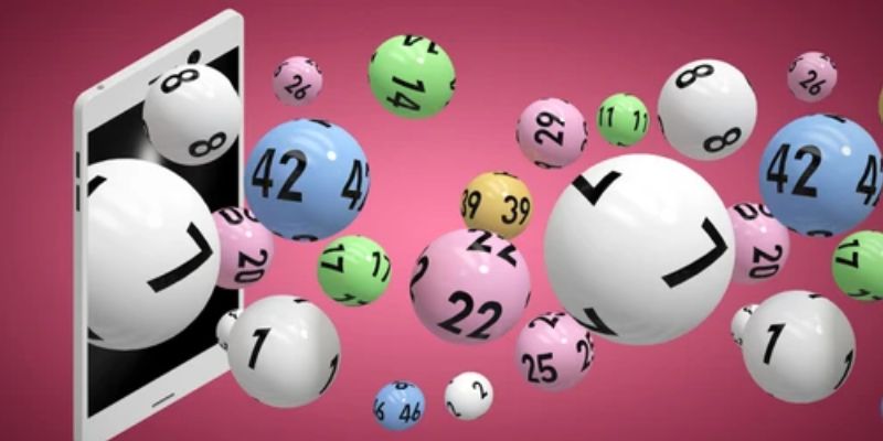 Các dạng nuôi lô 7 ngày phổ biến nhất hiện nay